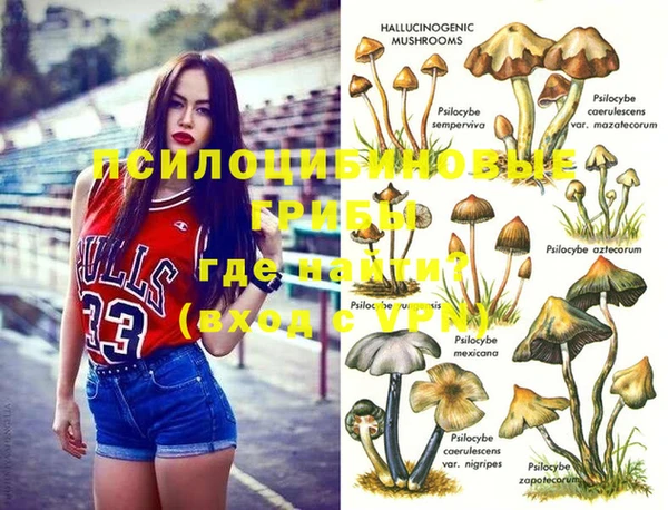 бошки Краснослободск